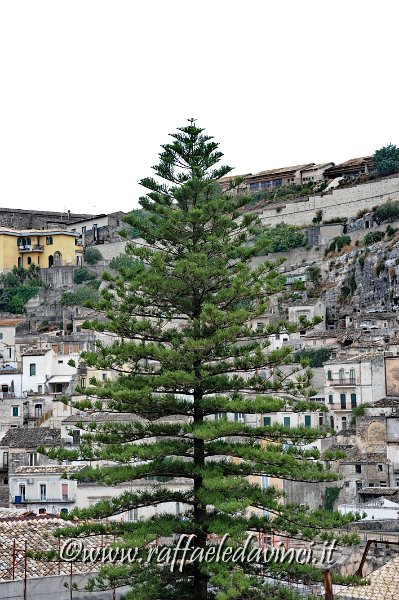 17.7.2014 MODICA (75).jpg